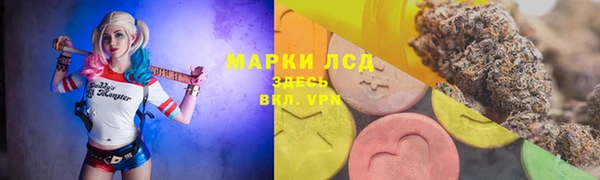 apvp Алексин