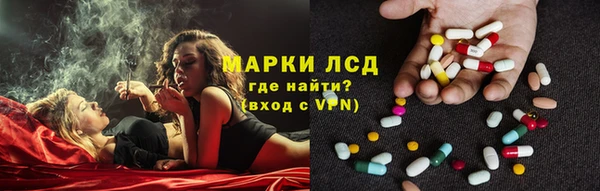 apvp Алексин