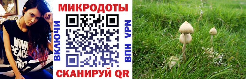 Галлюциногенные грибы мицелий  Омутнинск 